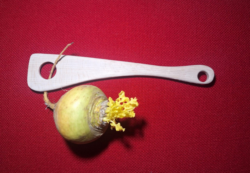 JungingerJoerg_FotoJungingerJoerg1