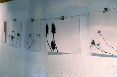 www.wildwuchs.gallery