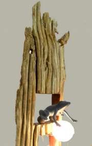 stierstorfer_frosch copy