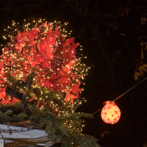 Schwabinger Weihnachtsmarkt Thomas Gießner -1041
