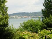 DSC00352