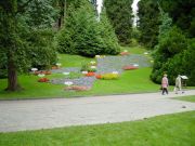 DSC00353